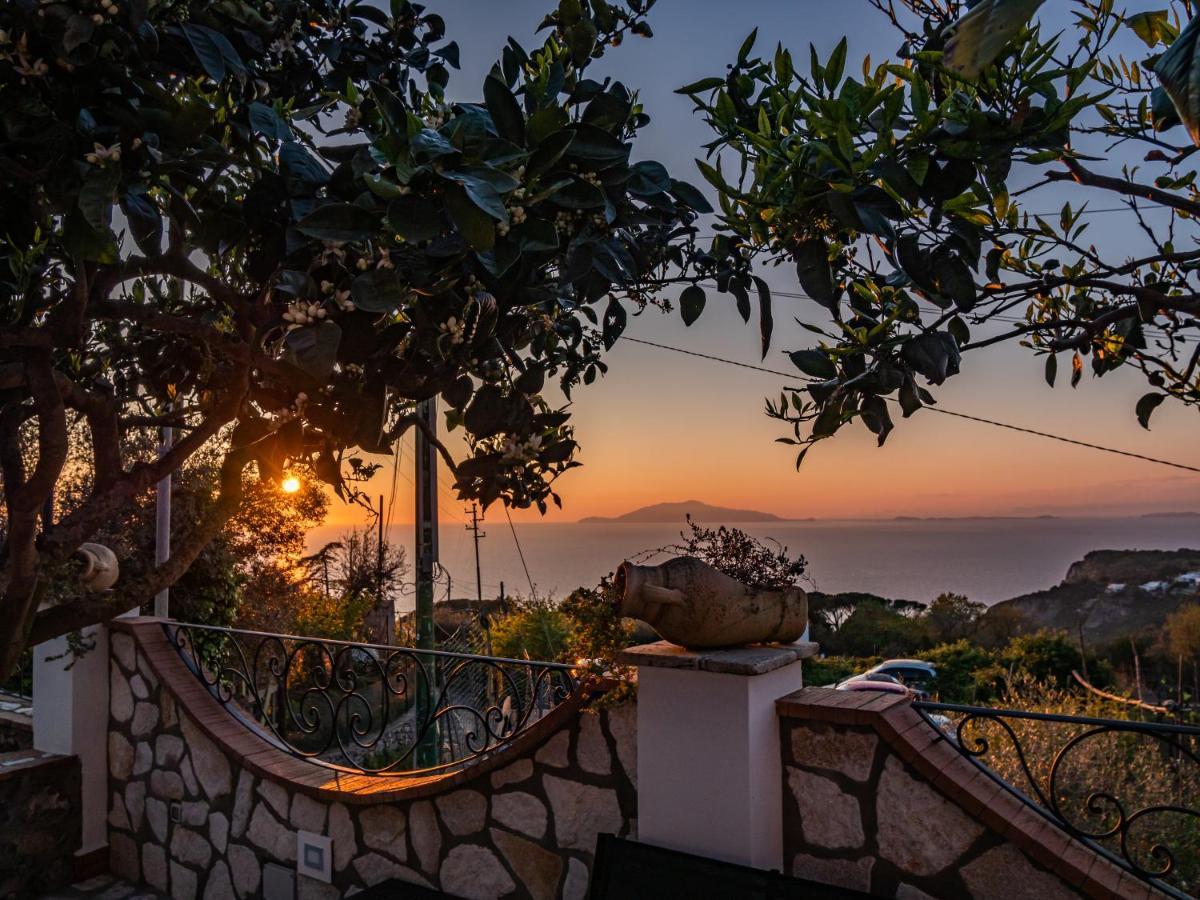 Casa Astra Bed & Breakfast Anacapri  Ngoại thất bức ảnh